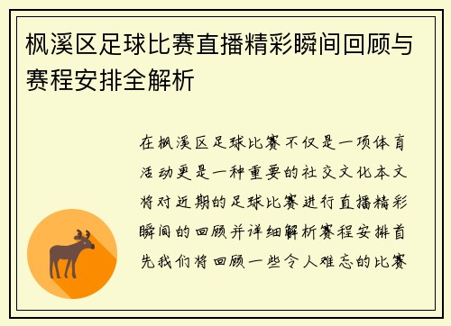 枫溪区足球比赛直播精彩瞬间回顾与赛程安排全解析